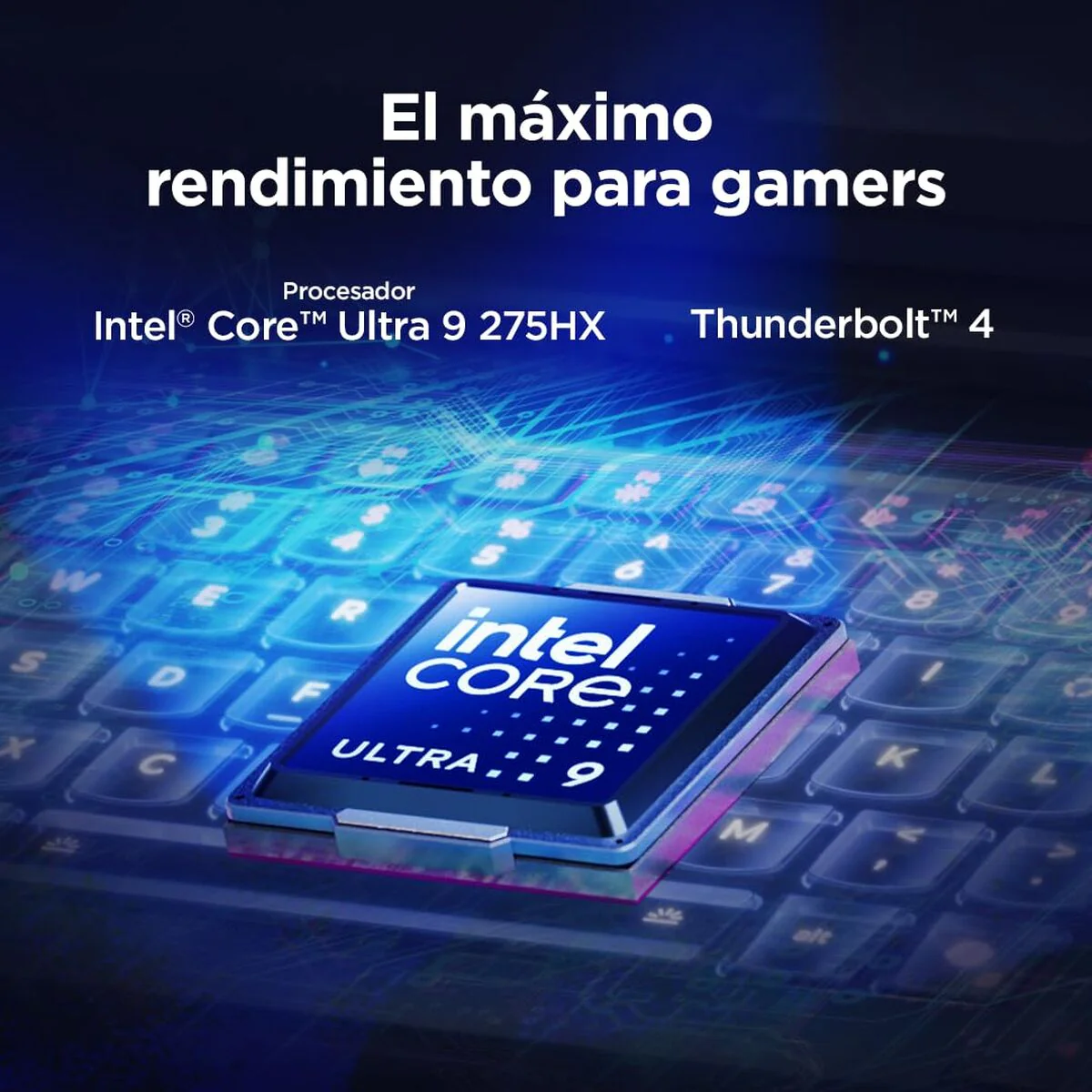 Imagen del producto 10