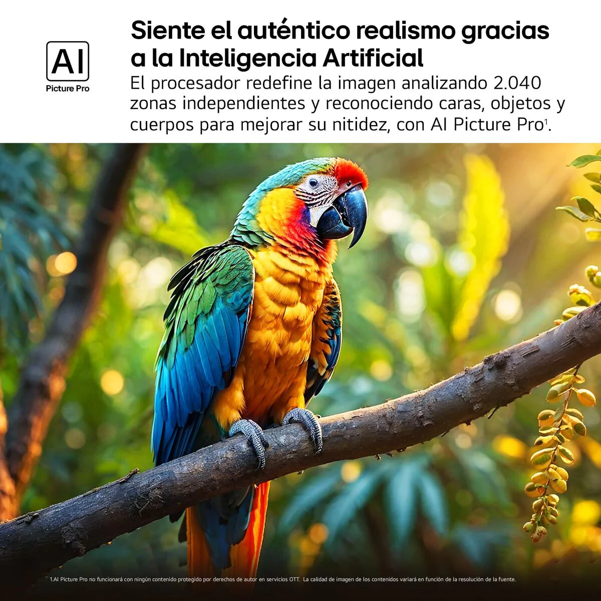 Imagen del producto 7